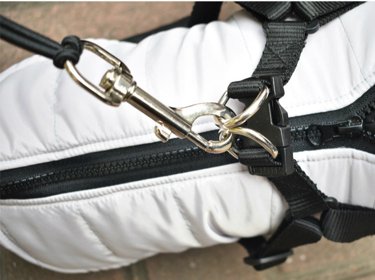Bicycle Elastic Traction Rope: The Ultimate Companion for You and Your Dog